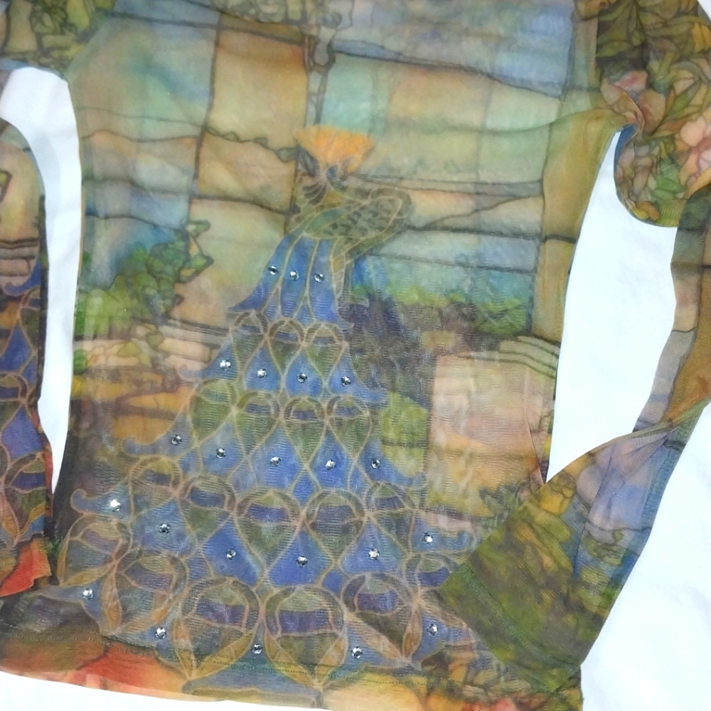 Sheer and colorful long sleeve ladies top. Small. Used one time for a photo shot